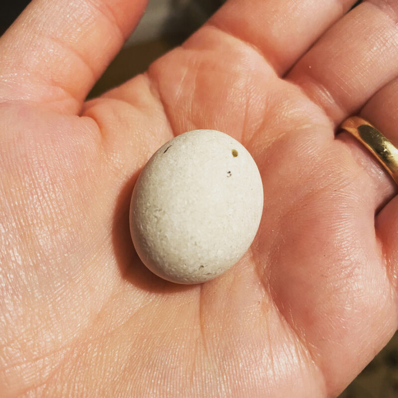 Hand holding a small egg shaped rock