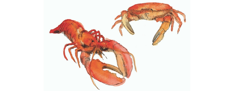 Lobster and Crab watercolour illustrations