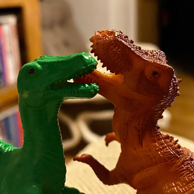Two toy dinosaurs locked face to face.
