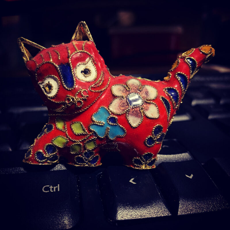 Red model cat with colourful flowers, on a keyboard