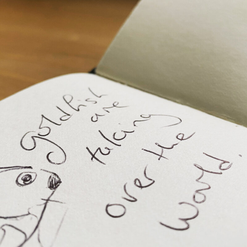 Note book with scribbled text 'Goldfish are taking over the world'