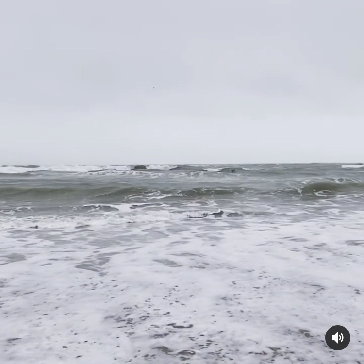 The sea on a cold day