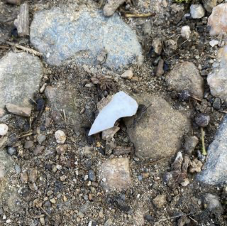 Broken ceramic on the ground, in the shape of a tooth