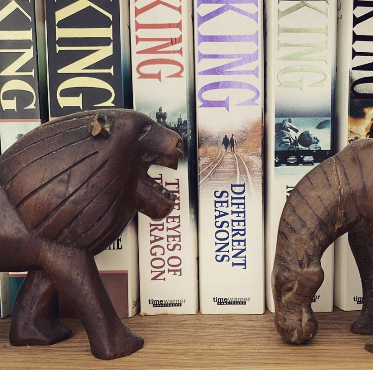 Wooden carved lion and zebra in front of Stephen King books